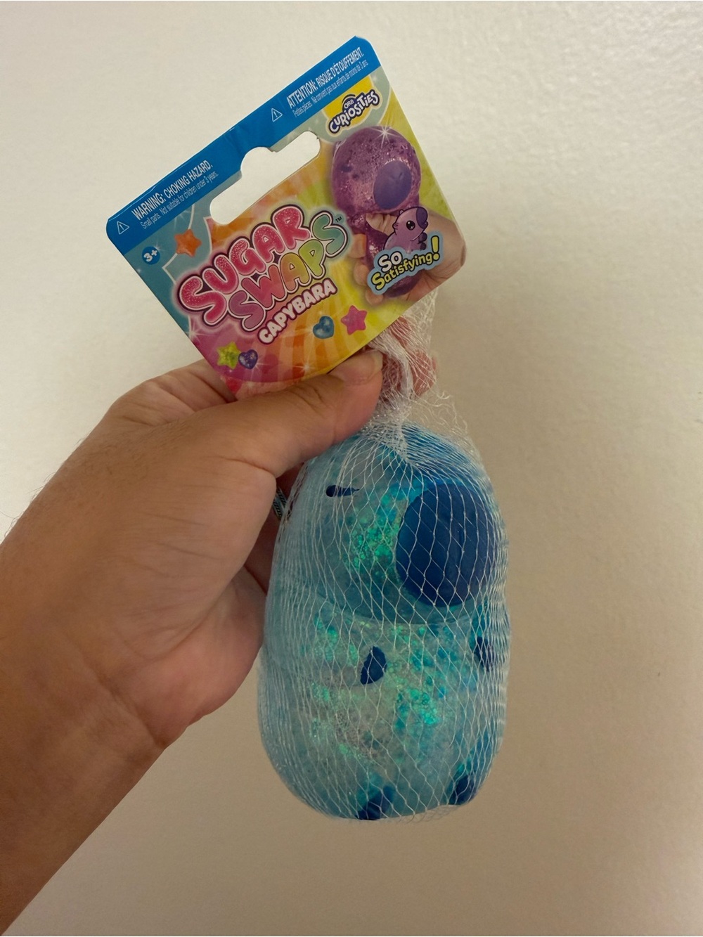 Sugar Swaps Blue Capybara Squishy Toy by Orb Curiosities